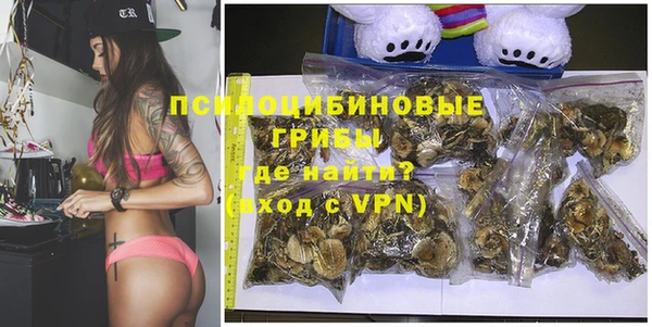 винт Алзамай