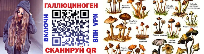 блэк спрут вход  Волхов  Псилоцибиновые грибы Magic Shrooms 