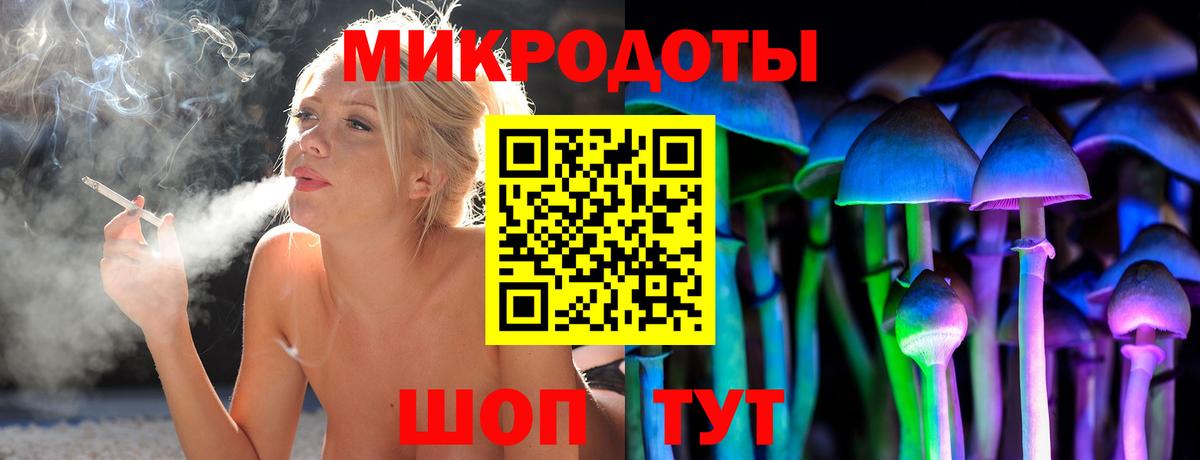 Псилоцибиновые грибы мицелий Волхов