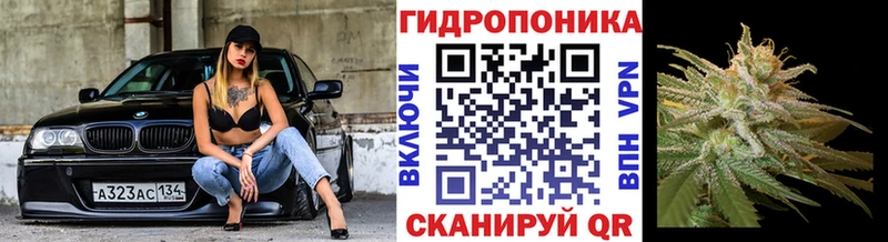 Бошки Шишки MAZAR  Волхов 