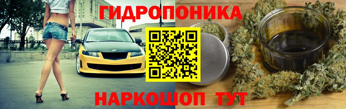 Каннабис конопля  Канабис тримм  Бошки марихуана семена  Волхов  Вход с VPN 